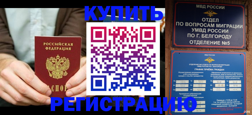 прописка 2025 в Курске